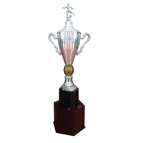 Copa España 733