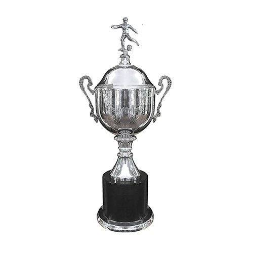 Copa Inglesa 115
