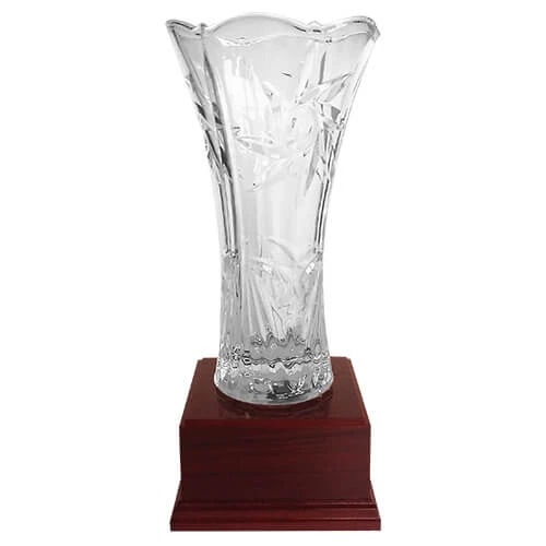 Copa DBR