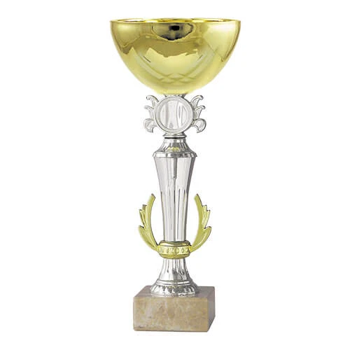 Copa BLAS 7