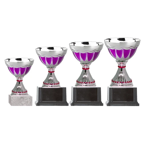 Copa BLAS 33