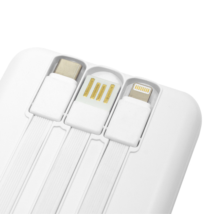 PowerBank multipuerto 